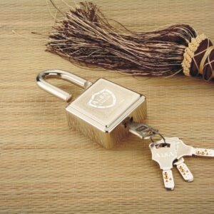 ALBA Armor Heavy Duty Hardened Steel Padlock – Push Locking Security